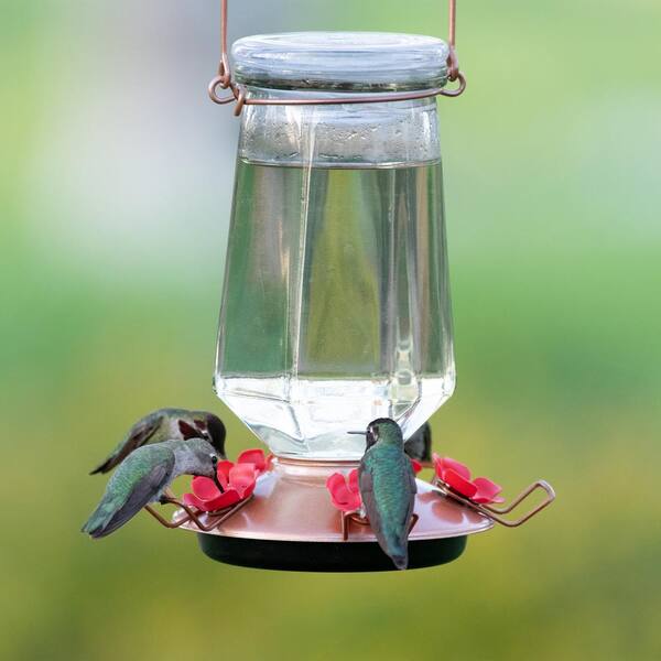 Hummingbird Nectar Feeder Blue Glass Tube 5 Ports Wide Mouth Hanging Decor 18oz 