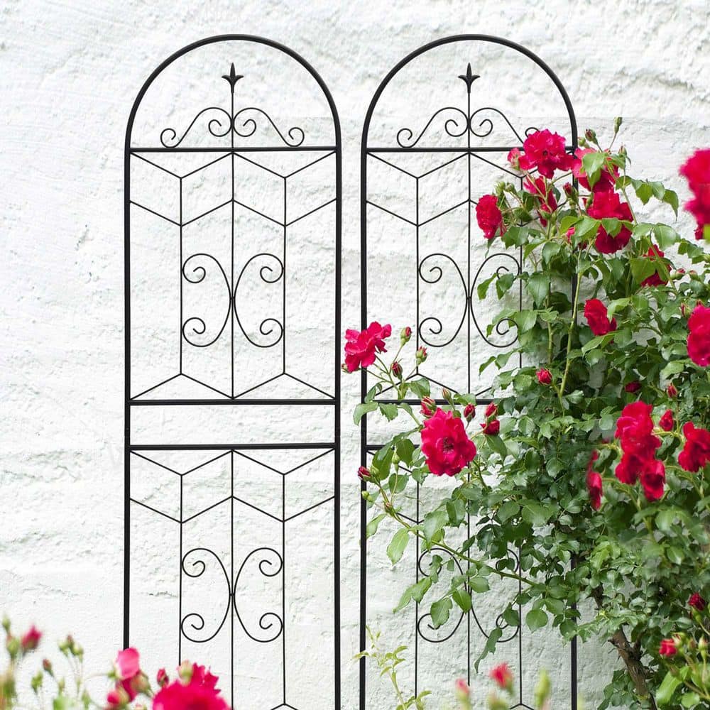 Metal Trellis Home Depot