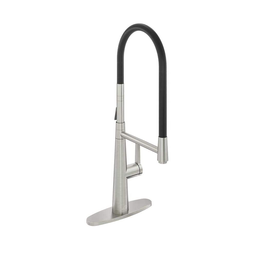 CASAINC SingleHandle Standard Kitchen Faucet with FastMount and