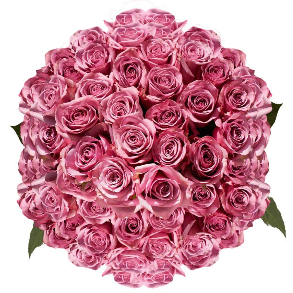 Globalrose Lavender Cool Water Roses- Fresh Flower Delivery (150 Extra ...