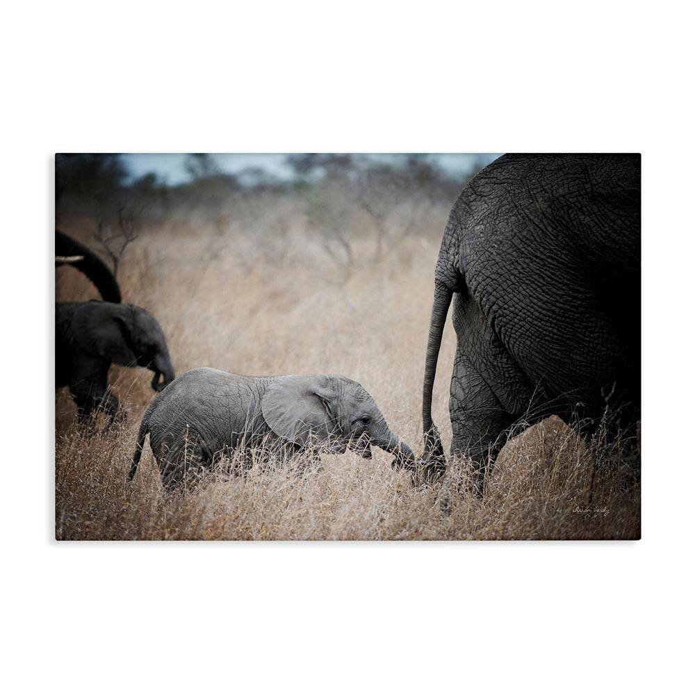 Baby Elephant Strolling by Sharon Vardy Unframed Animal Graphic Art Print 30 in. x 45 in. price history on PriceWatchPro