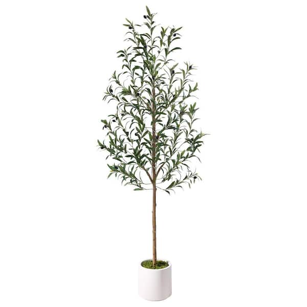 6 ft. Olive Trees Artificial Indoor, Faux Olive Tree with White Tall Planter, Artificial Plants for Home Office Decor
