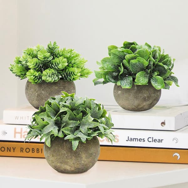 LIVING LUXURY 5 in. Frosted Green Artificial Ivy Leaf Grass Pine Succulent Mix Small Plant Topiary in Pot (Set of 3)