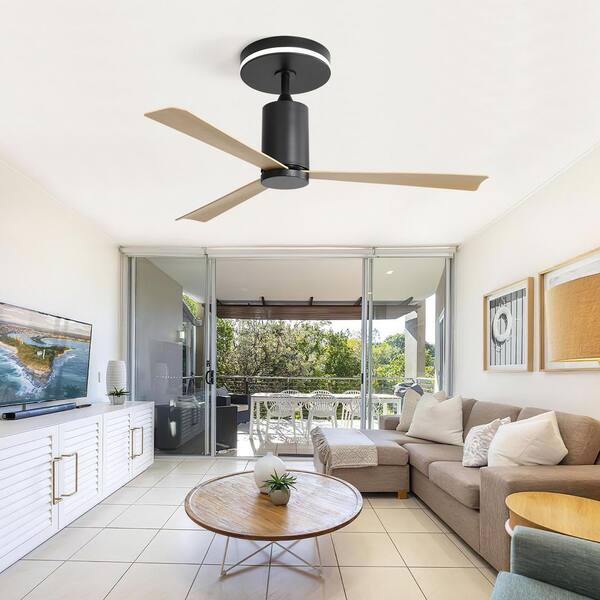 Sofucor 52 in. Modern Indoor Black Downrod Mount Standard Ceiling