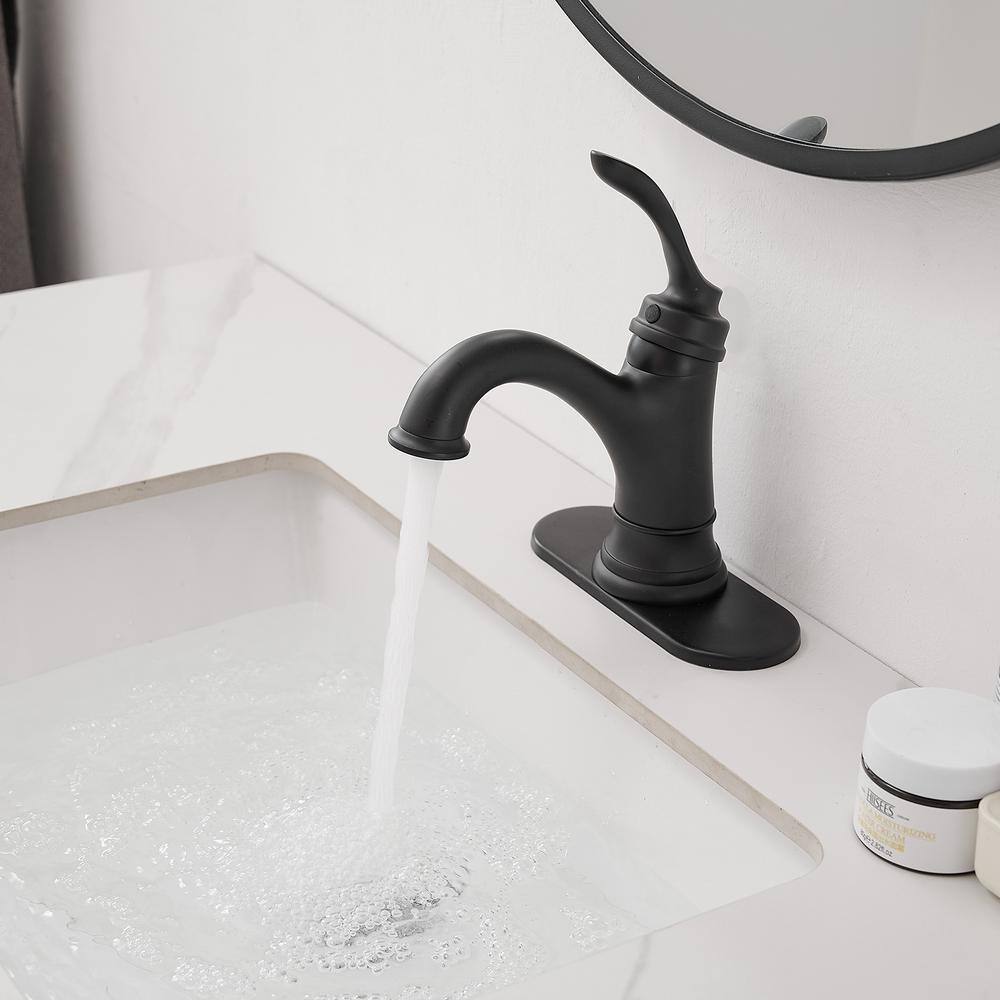 Matte Black Stainless Steel Single-Handle Bathroom Faucet with Drain Assembly