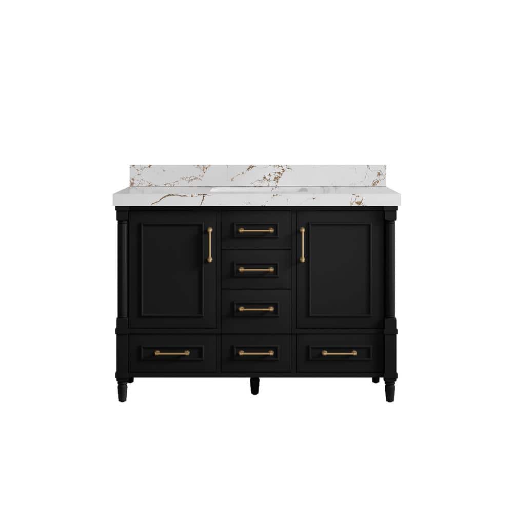 Hudson 48 in. W x 22 in. D x 36 in. H Single Sink Bath Vanity in Black with 2 in. Viola Brown qt. Top price history on PriceWatchPro