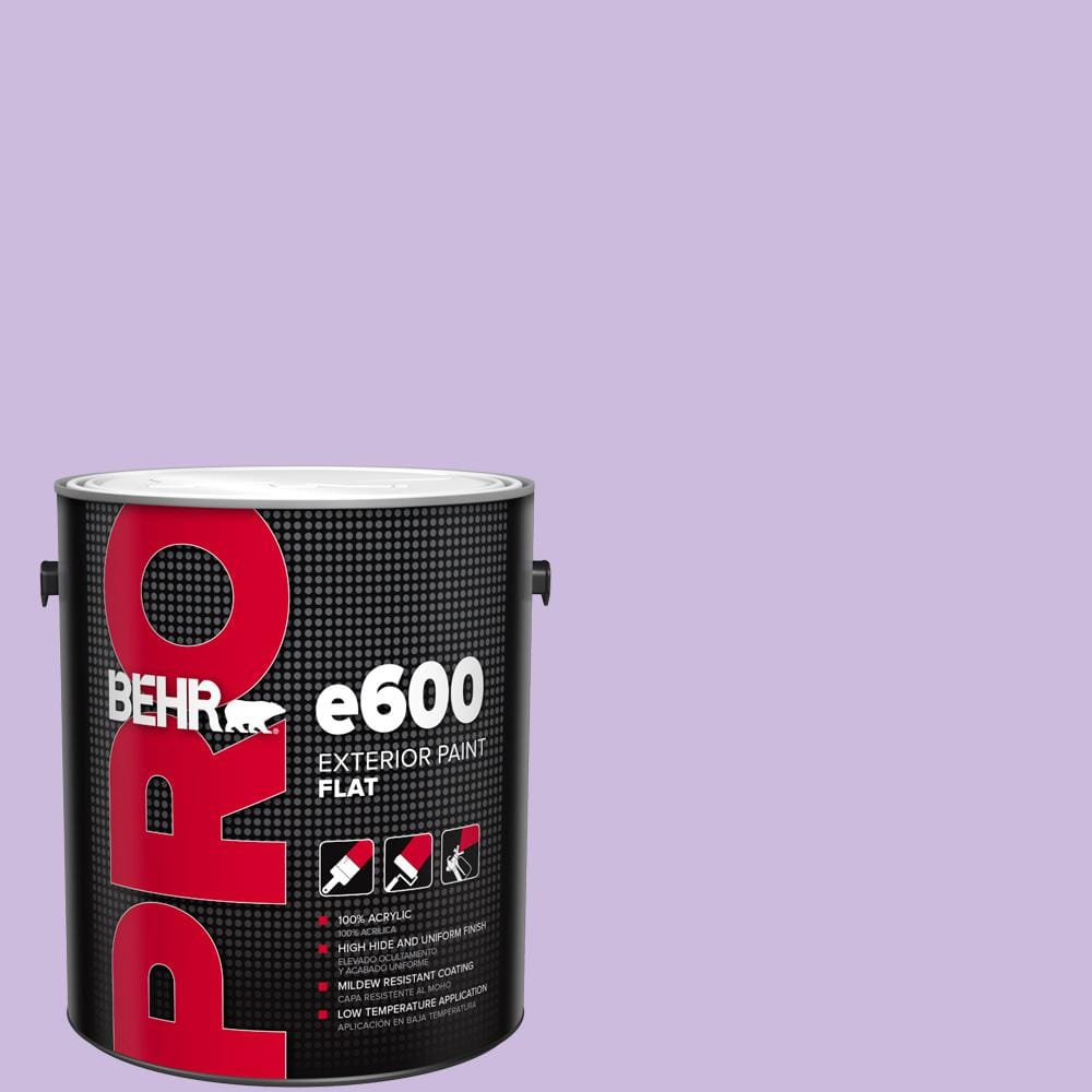 1 gal. #P570-2 Confetti Flat Paint price history on PriceWatchPro