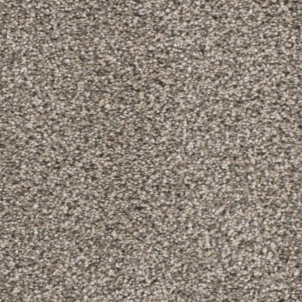 8 in. x 8 in. Texture Carpet Sample - Fall Skies I -Color Cider Mill price history on PriceWatchPro