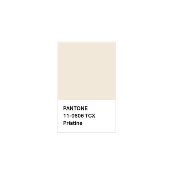 Cotton Lightly Lined Full Coverage No Wire 1111228 Y:Pantone Bright White: 40C