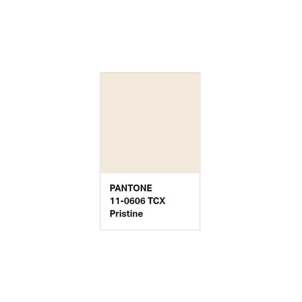 Off-White Braided Wool 6' x 9' Area Rug