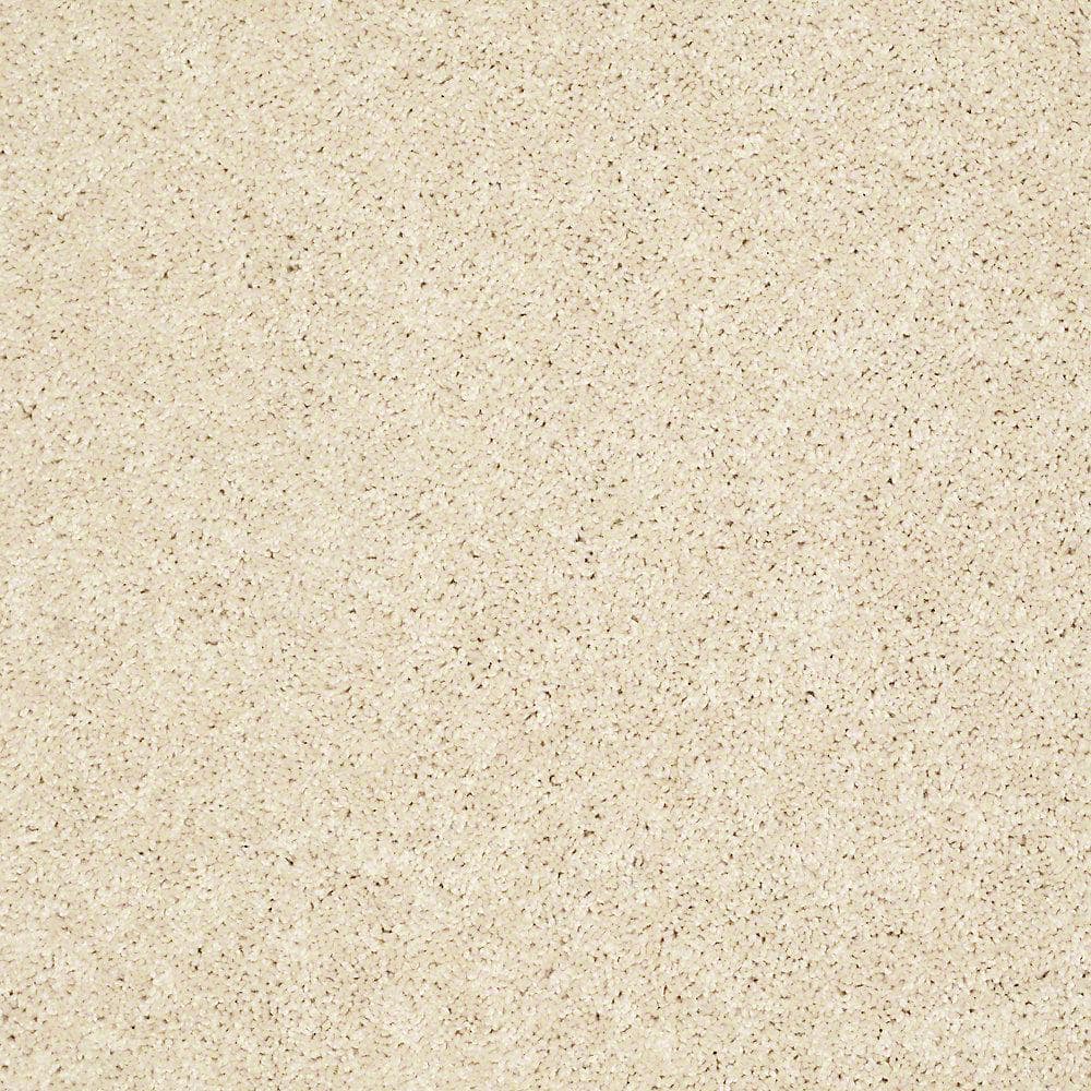 8 in. x 8 in. Texture Carpet Sample - Palmdale II - Color Bamboo price history on PriceWatchPro