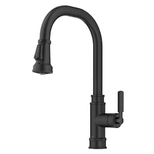 Allyn Transitional Industrial Pull-Down Single Handle Kitchen Faucet in Matte Black