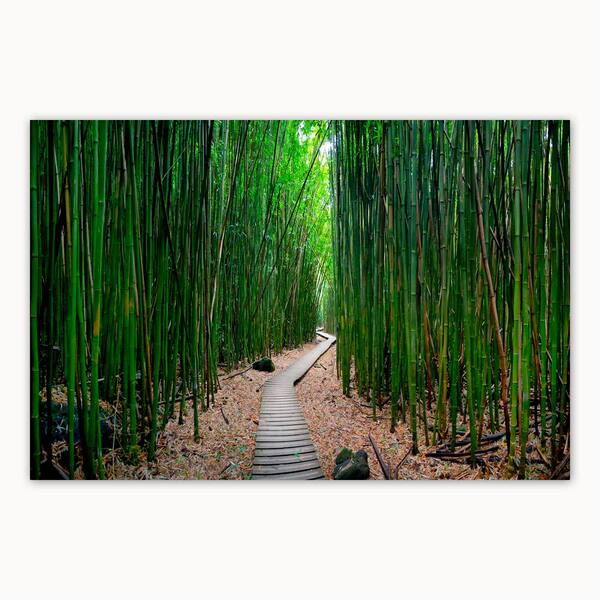 Unbranded Bamboo Path by Colossal Images Canvas Wall Art 36 in. x 54 in.
