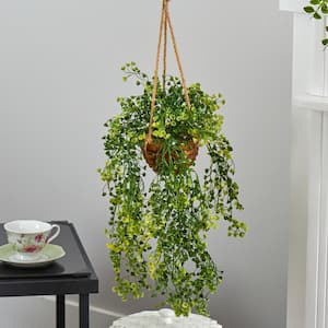 20 in. D Baby Tear Artificial Plant in Hanging Basket