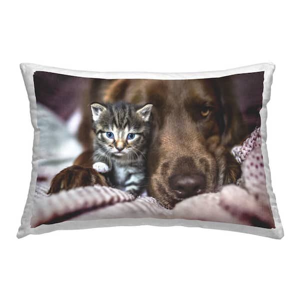 Stupell Industries Kitten and Dog Friendship Brown Print Polyester 14 in. x 20 in. Throw Pillow