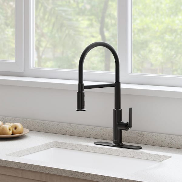 Sonner 20 in. Single Handle Pull-Down Sprayer Kitchen Faucet with Advanced Spray, 360 Spout in Matte Black