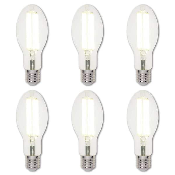 Unbranded 400-Watt Equivalent ED28 Incandescent Filament LED Light Bulb Day Light 5000K (6-Pack)