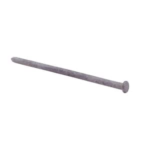 3/8 in. x 10 in. Galvanized-Steel Spike Nails (50 lbs.-Pack)