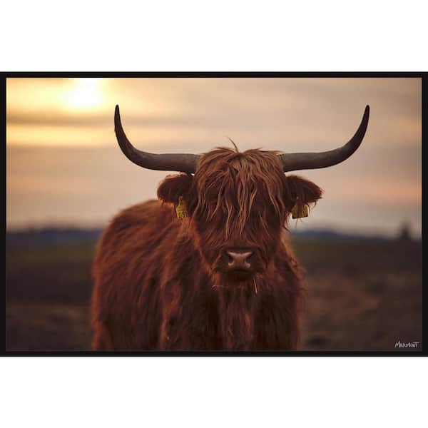 Unbranded "Sunset and Cows" by Marmont Hill Floater Framed Canvas Animal Art Print 16 in. x 24 in.