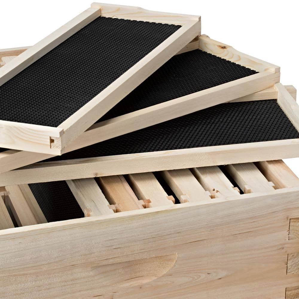 Natural Wood Langstroth Beehive Super Box with Frames