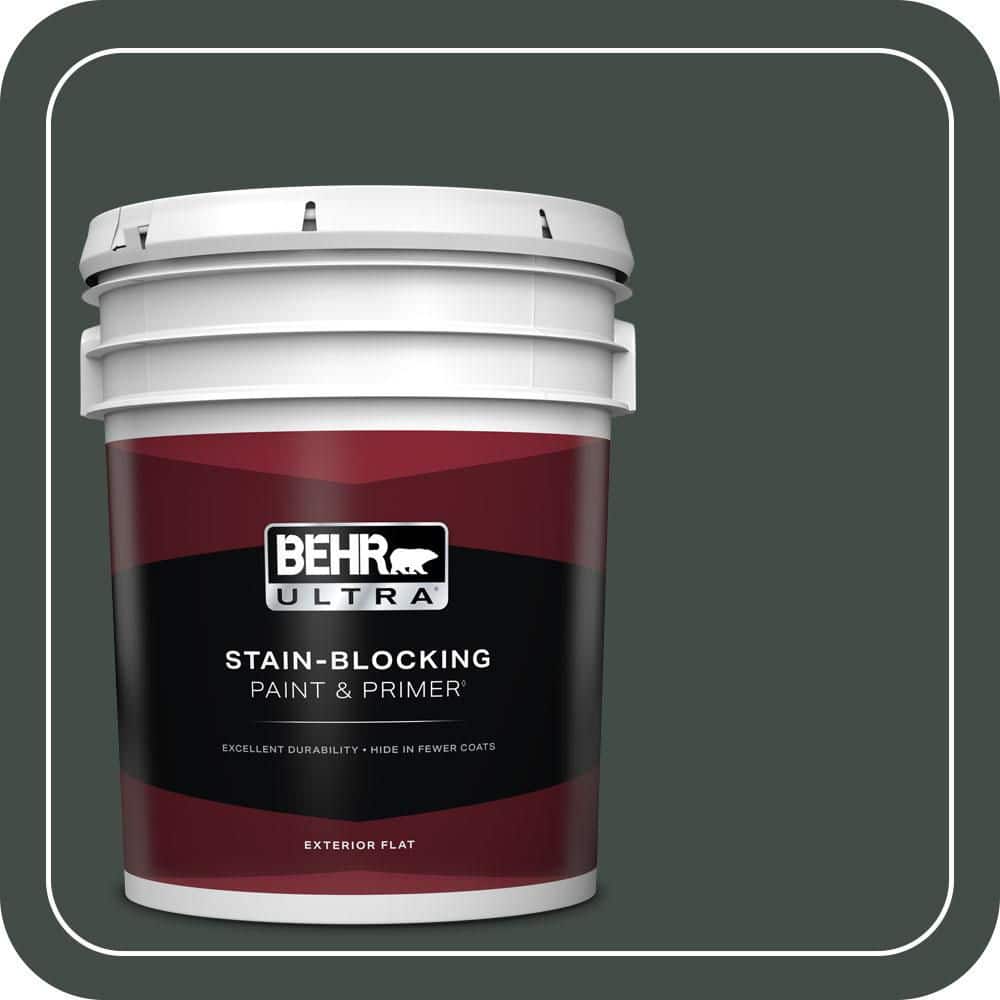 5 gal. Home Decorators Collection #HDC-CL-21 Sporting Green Flat Exterior Paint & Primer price history on PriceWatchPro