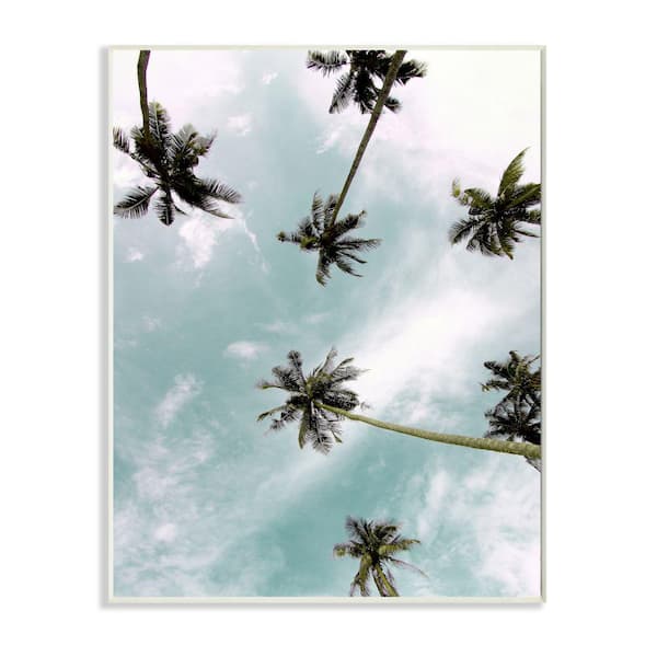 Stupell Industries "Sky Through Palm Trees Tropical Summer Photograph" by Kim Allen Unframed Nature Wood Wall Art Print 10 in. x 15 in.