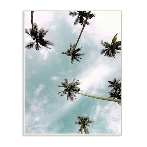 tropical palm tree reflection in sunglasses with seashell in beach