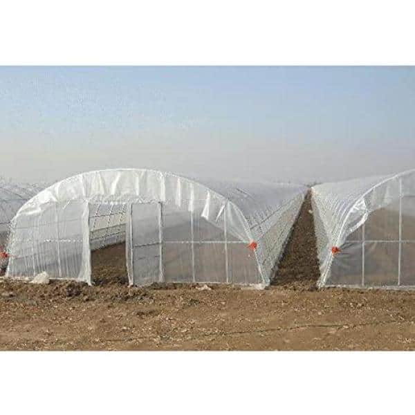 12'x100' Agfabric® 5Year 3.1Mil Plastic Clea Greenhouse Poly Film Cover 