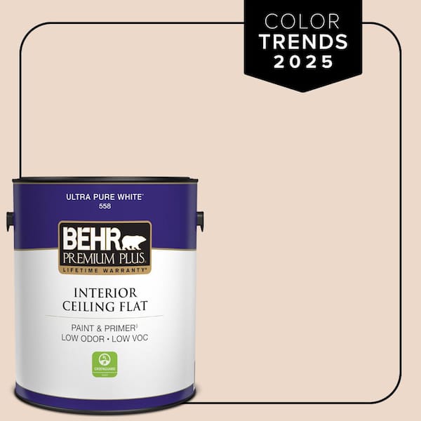 1 gal. #S210-1 Nutmeg Frost Ceiling Flat Interior Paint