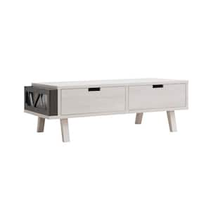 Mariana 47.25 in. Gray Rectangle Wood Coffee Table with Drawers, and Shelves, and Storage