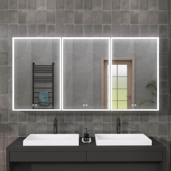 Staykiwi 60 in. W x 30 in. H Rectangular Aluminum Alloy Medicine Cabinet with Mirror