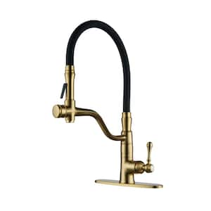 Single Handle Pull Out Sprayer Kitchen Faucet Deckplate Included and Rust-Proof in Solid Brass in Gold