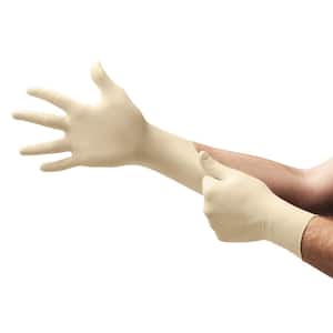 Premium Disposable Latex Gloves, Medium (100-Count)