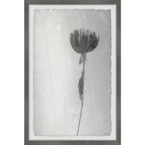 "Beauty and Purity" by Marmont Hill Framed Nature Art Print 12 in. x 8 in.