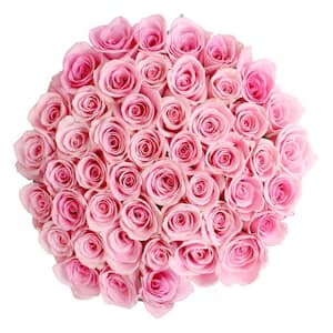 50 Stems Pink Roses