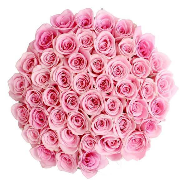 50 Stems Pink Roses