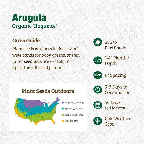 Back to the Roots Organic Roquette Arugula Seed (1-Pack) 46018