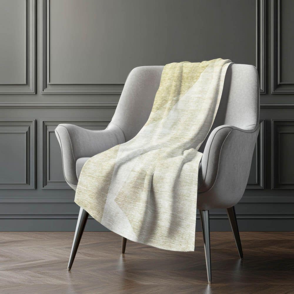 Premium Machine Washable ASB716 Beige 50 in. x 70 in. Sherpa Throw Blanket price history on PriceWatchPro