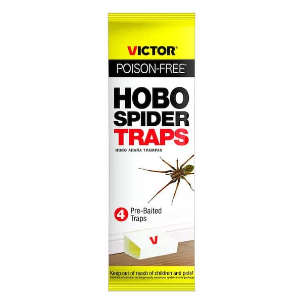Victor Insect Traps Victor Poison-Free Hobo Spider Pre-Baited Traps (4-Pack) M293 - The ...