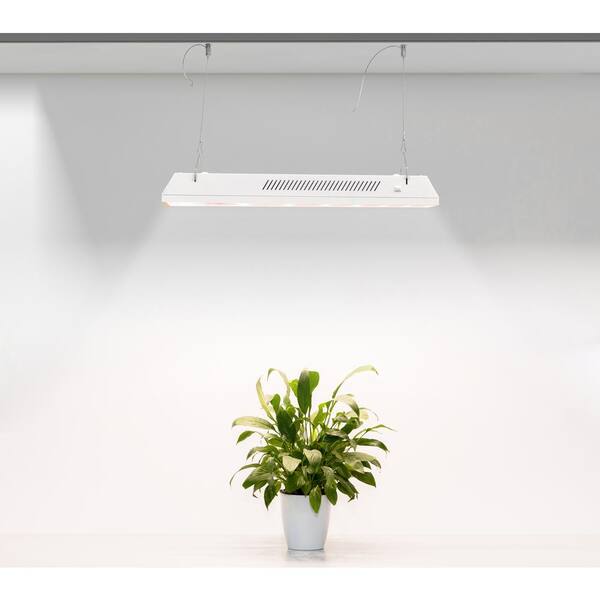 100w grow online light