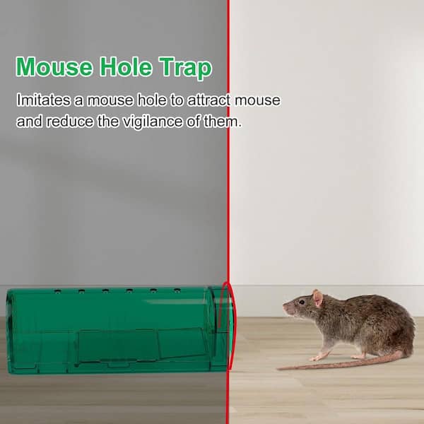 Humane Smart Mouse Trap – No Kill Live Catch & Release – Safe For Indoor Use