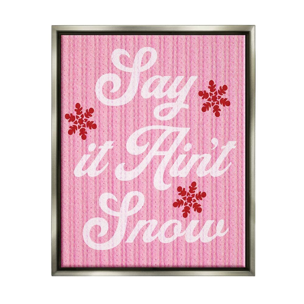 Pink Say It Ain't Snow by Lil' Rue 1 Piece Floater Frame Graphic Print Typography Poster Art Print 31 in. x 25 in. price history on PriceWatchPro