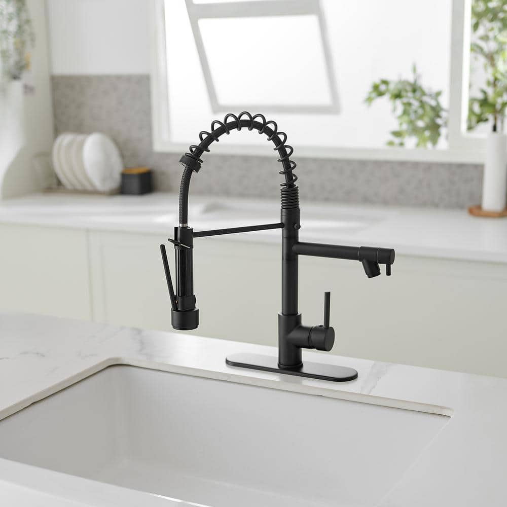 Matte Black High-Arc Kitchen Faucet with Pull-Out Spray