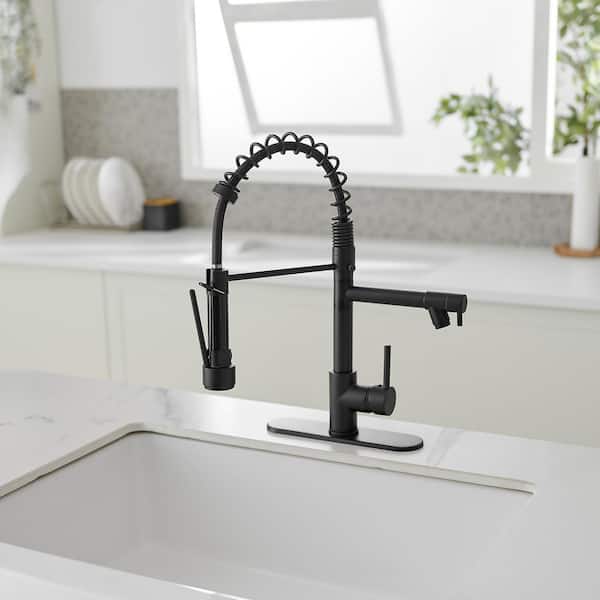 Single-Handle Pull-Down Sprayer 2 Spray High Arc Kitchen Faucet With Deck Plate in Matte Black