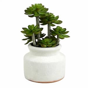 11 in Artificial Green Succulent in Round Ceramic Pot.