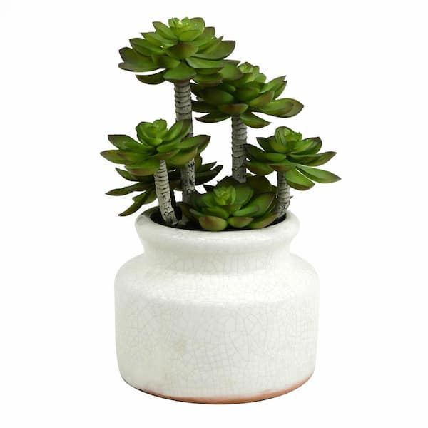 Vickerman 11 in Artificial Green Succulent in Round Ceramic Pot.