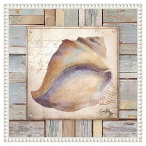 "Beach Shell II" by Elizabeth Medley 1-Piece Floater Frame Giclee Coastal Canvas Art Print 16 in. x 16 in.