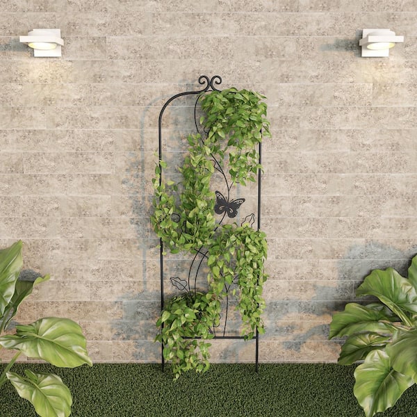 Metal Support For Vines & Flowers 65" Wrought Iron Mable Trellis 
