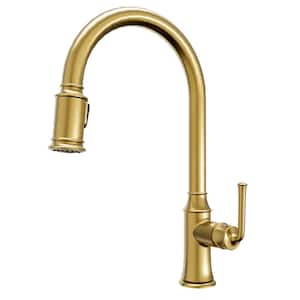 Auburn Single Handle Pull Down Sprayer Kitchen Faucet in Brushed Gold