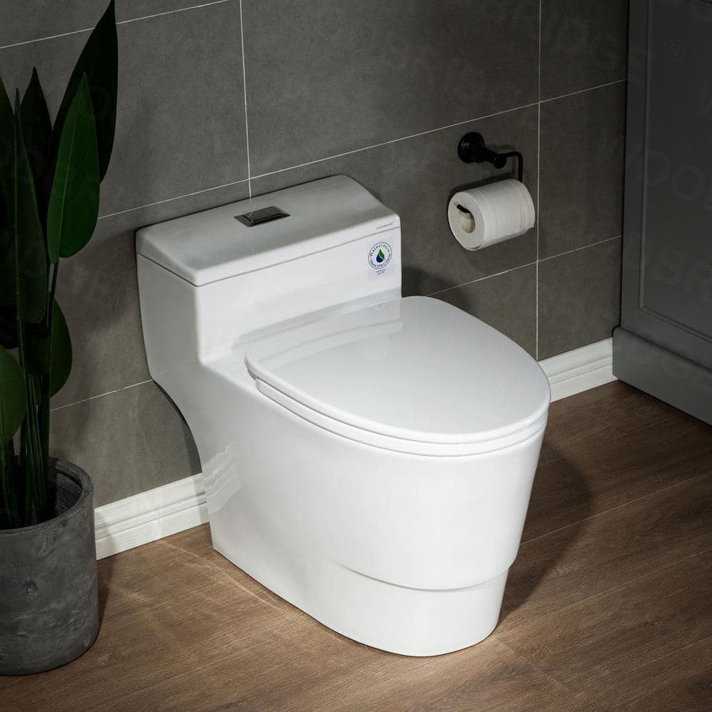 White Ceramic One-Piece Dual Flush Toilet with Chrome Button